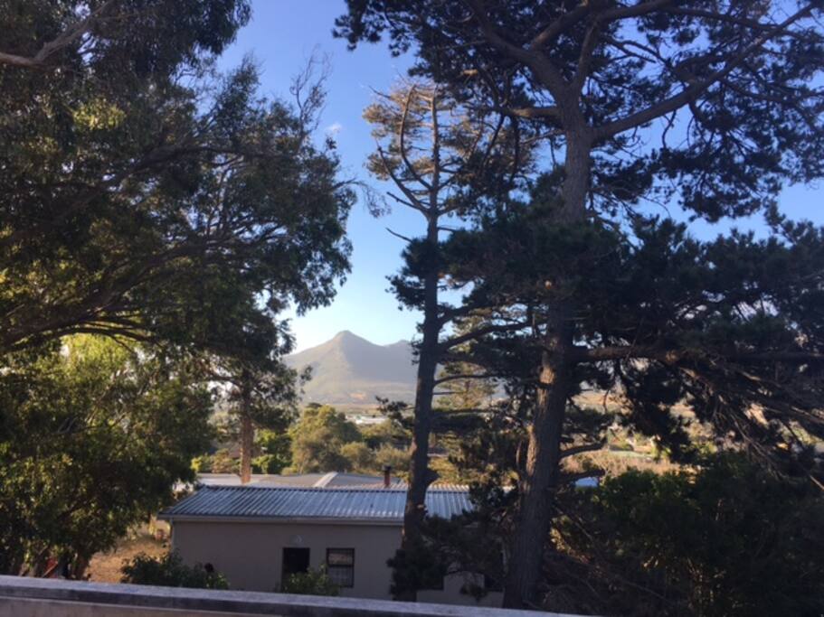 View to 'Chappies'