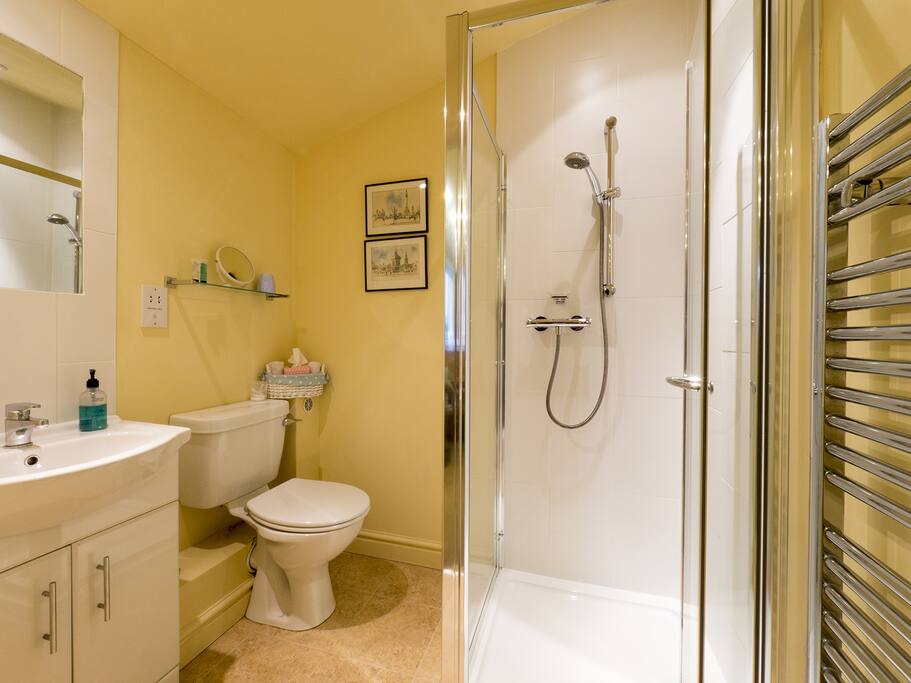 Blue Room ensuite shower room