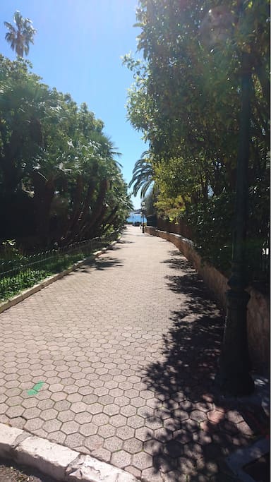 Path to the beach
