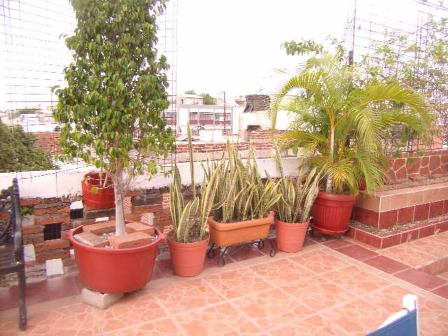 General Patio