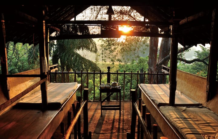 Galkadawala Forest Lodge, arboretum. Habarana. (c)