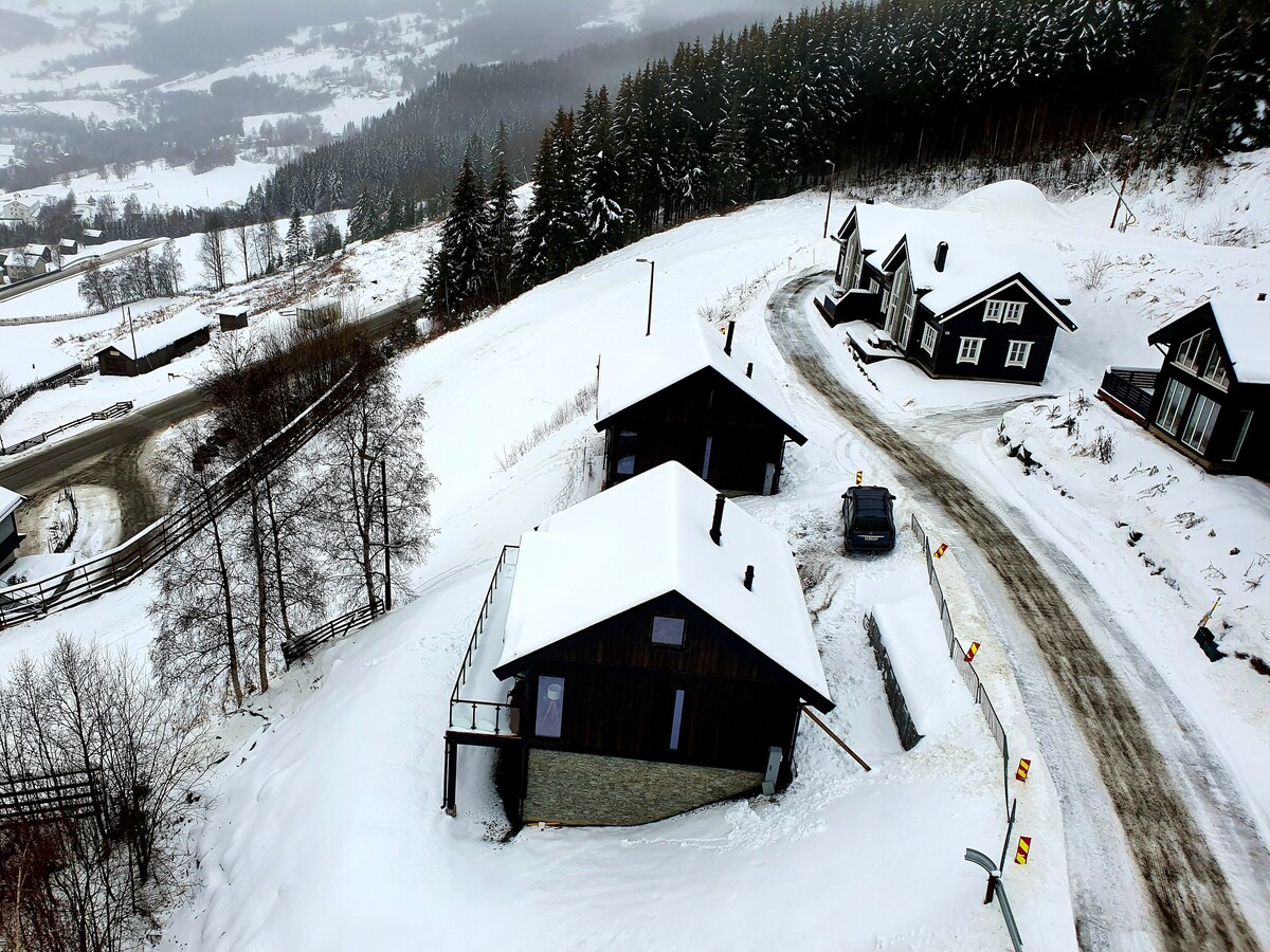 A snowy landscape showcases several cabins surrounded by gentle slopes and evergreen trees. A winding road leads to the cabins, while the white snow blankets the ground. The scenic view over the valley is partially obscured by a light fog.