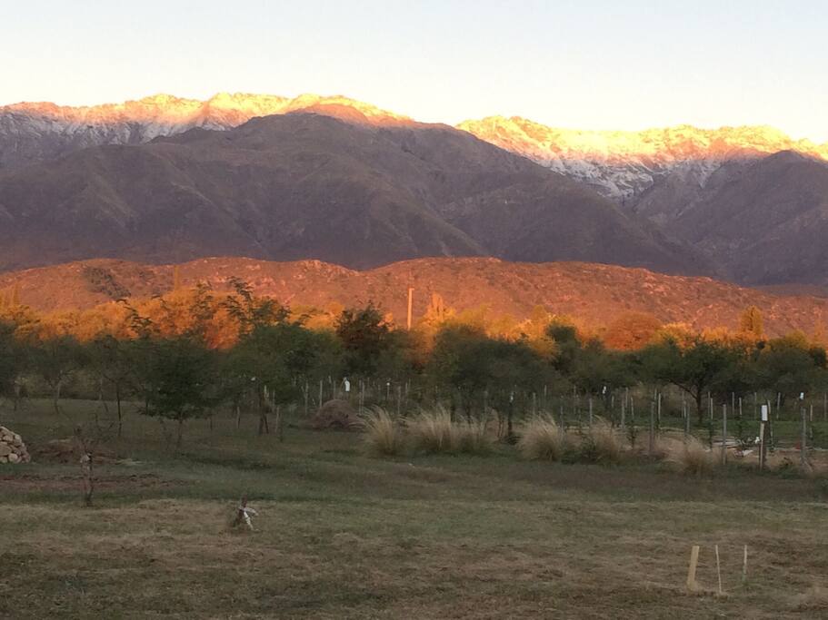 Atardecer desde el patio .