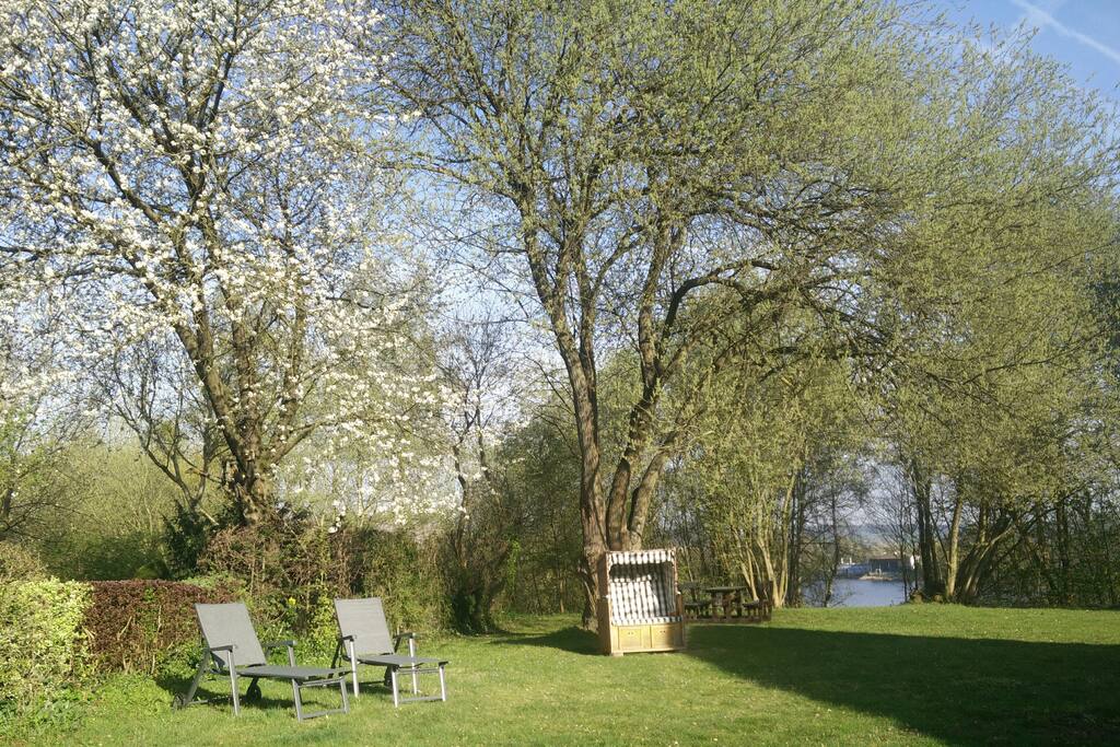 Unsere Wiese