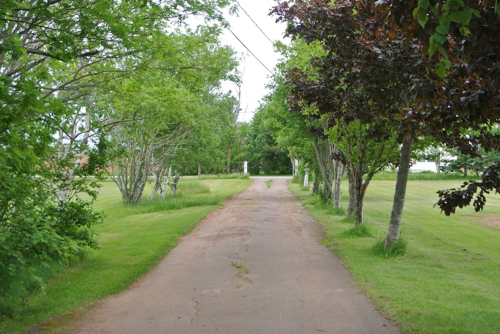 Long driveway to Rustico Road