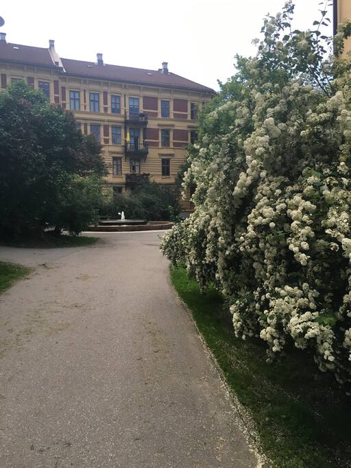 1 minute walk from the beautful central Stensparken- located in the heart of Oslo