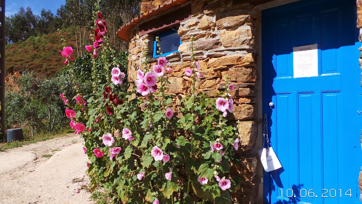 A stone wall adorned with vibrant pink and white hollyhocks surrounds a bright blue door. The rustic structure is complemented by natural greenery and the gravel path leading to it, highlighting a serene outdoor setting.