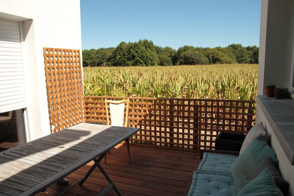 Patio au Nord