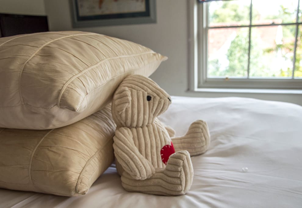 Hideaway ...... with Ted!