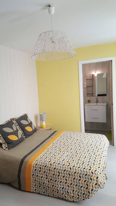 la chambre avec salle d'eau attenante