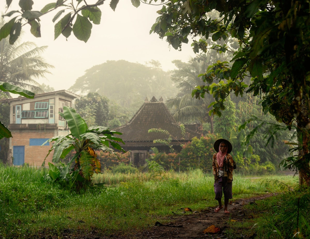 A person walks along a narrow path surrounded by lush greenery, with a traditional house visible in the background. The atmosphere is serene, filled with soft mist that envelops the landscape, while various plants frame the scene, highlighting the rural environment.