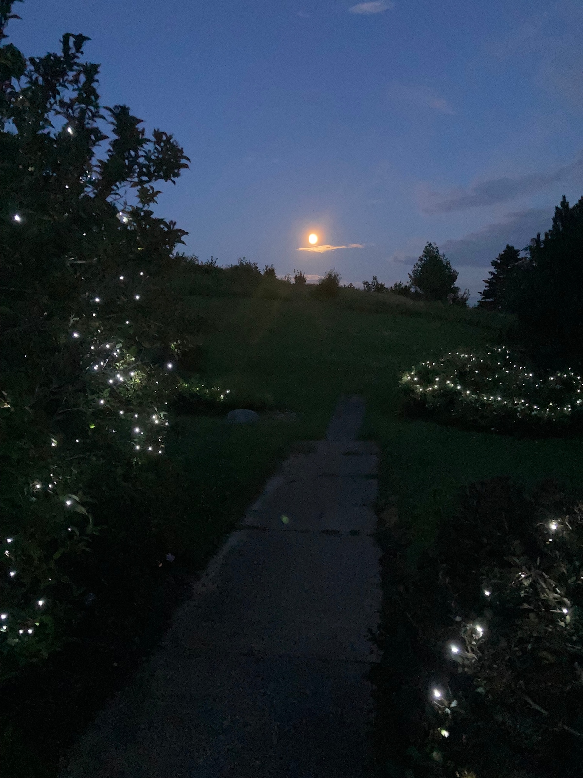 A stone pathway is bordered by shrubs adorned with soft white lights, guiding the way towards a gently sloping green hill. The moon shines brightly in the evening sky, adding a serene illumination to the landscape.