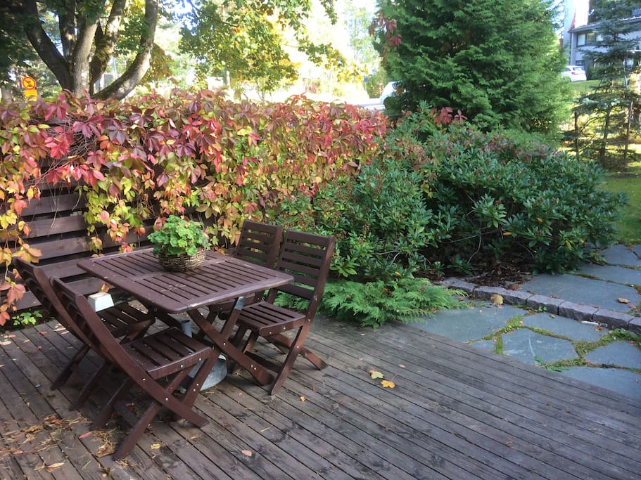 Backyard in fall
colours