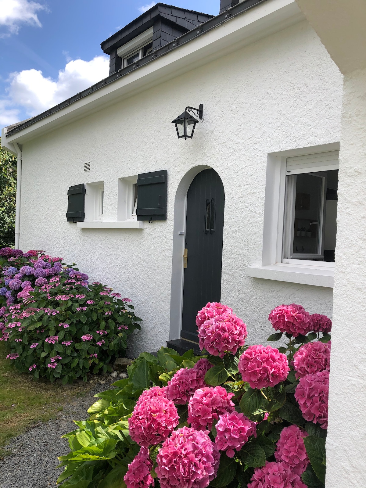 The exterior of a white house is framed by colorful blooming hydrangeas in shades of pink. A lantern-style light fixture is positioned near the entrance, which features a dark door with a decorative handle. The setting is brightened by a clear blue sky with soft clouds.