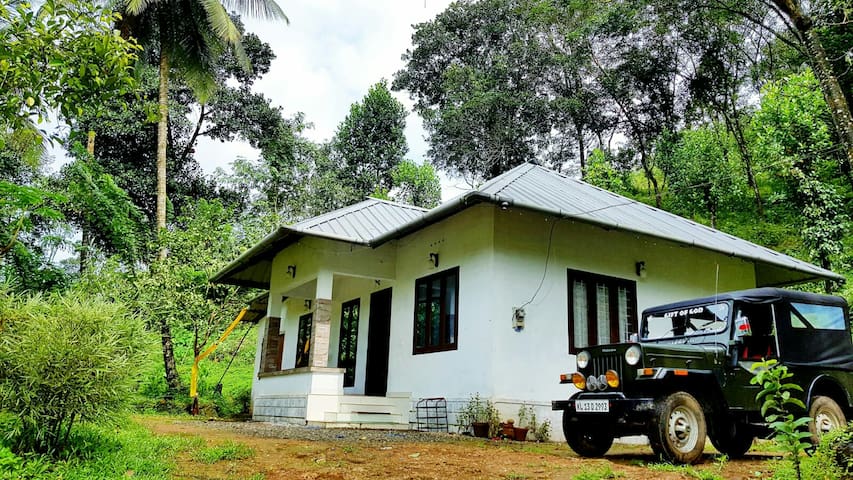 Airbnb Mankulam Holiday Rentals Places To Stay Kerala India