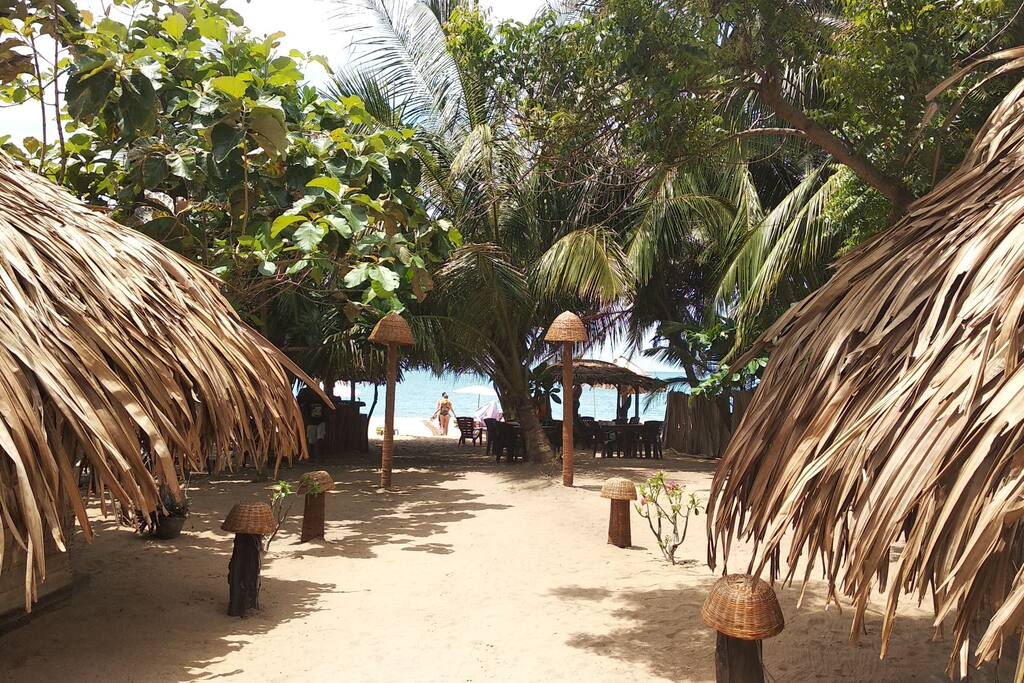 View behind bungalows