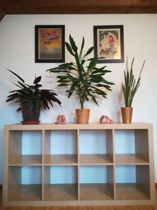 Shelves