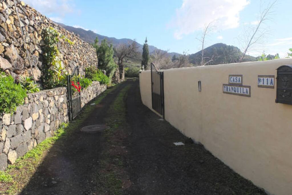 The driveway
