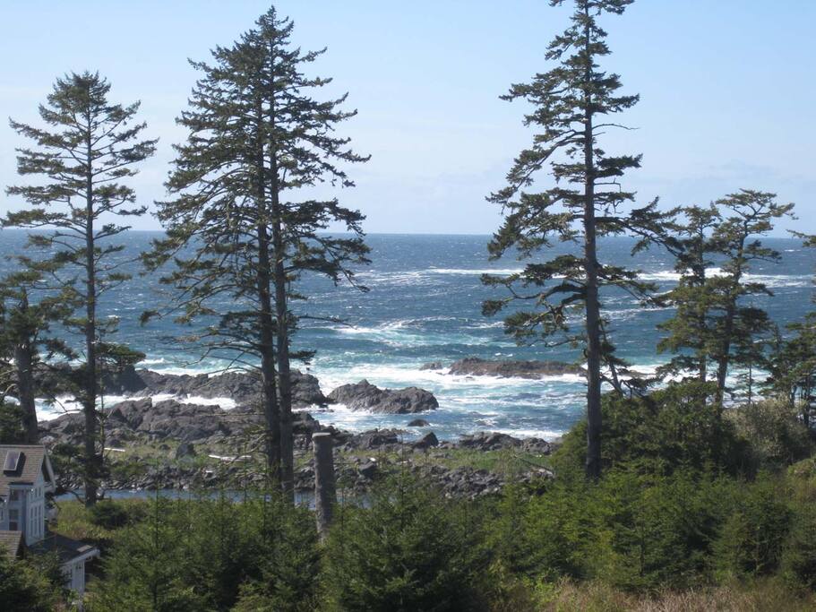 View from Seaquest.
