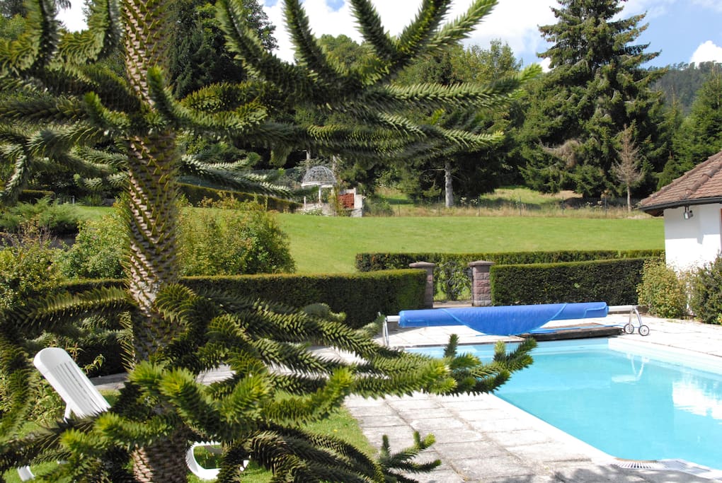 La piscine