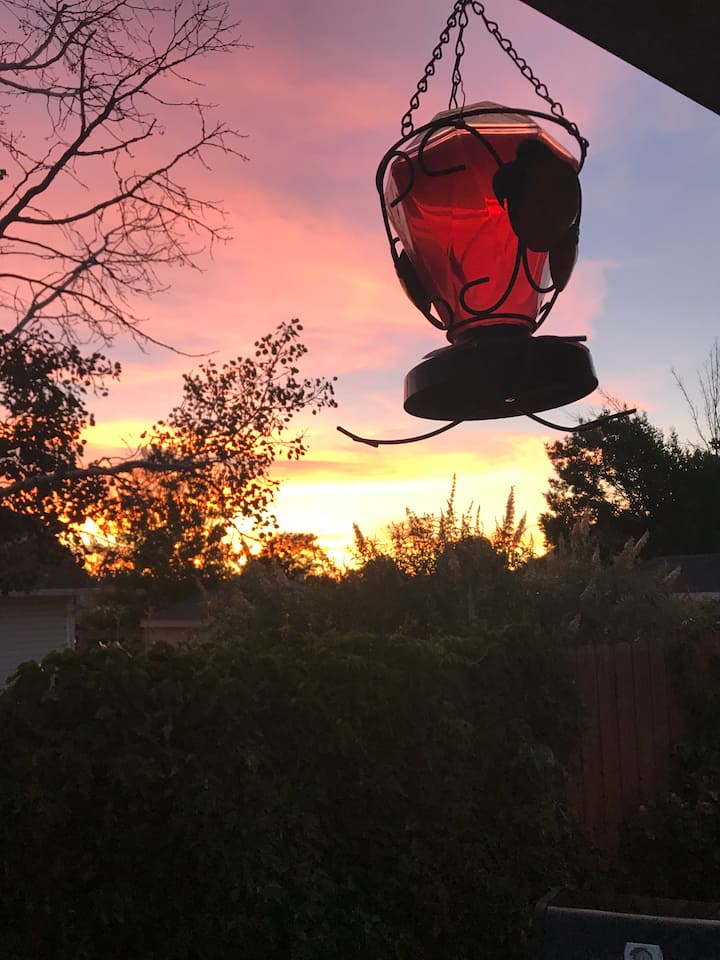 Top 10 Airbnb Vacation Rentals In Fruita, Colorado Updated 2024 Trip101