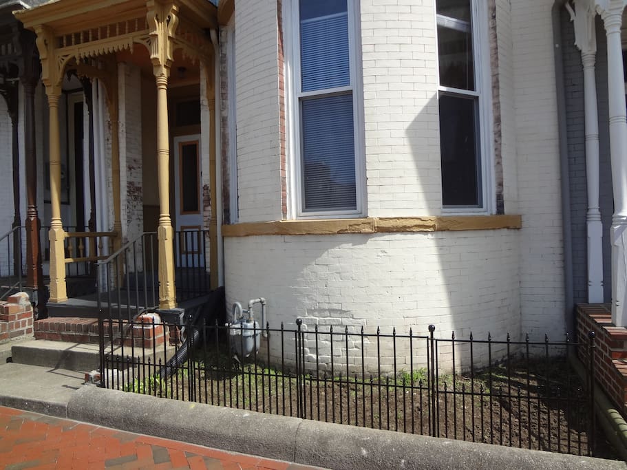 Front Yard