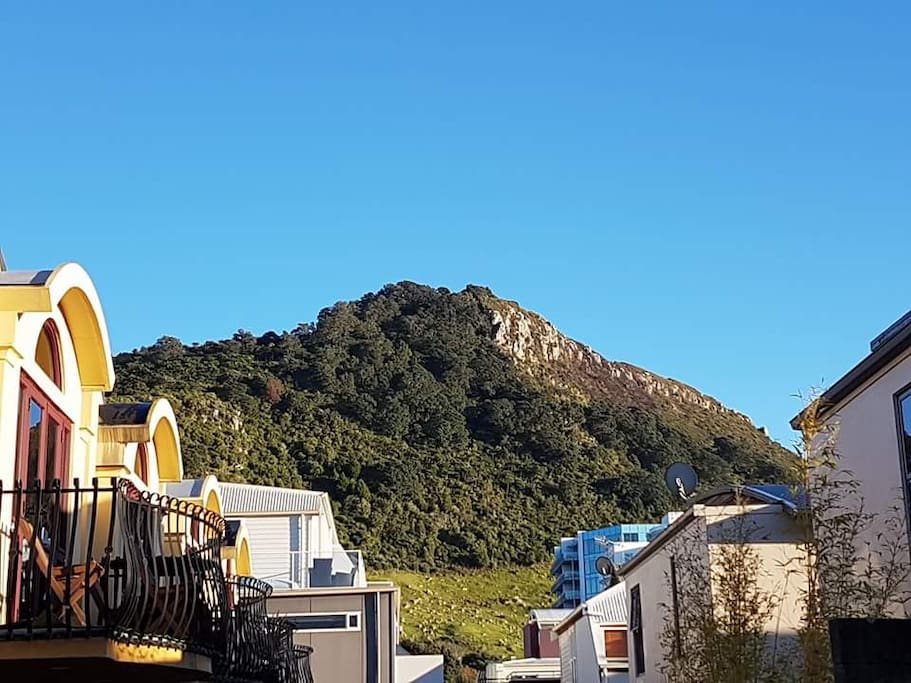 View of the Mt from the Mt town