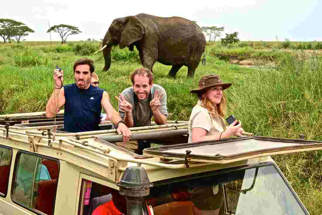 A safari vehicle with an open roof is positioned in a grassy area, providing a close view of a wild elephant in the background. Three individuals are seen enjoying the experience, with their hands raised to capture the moment. Lush greenery surrounds the scene, enhancing the adventurous atmosphere.