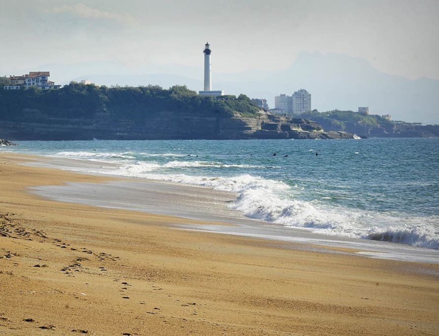 Location Appartement Bayonne Anglet Biarritz Location Appartement Bayonne Anglet Biarritz