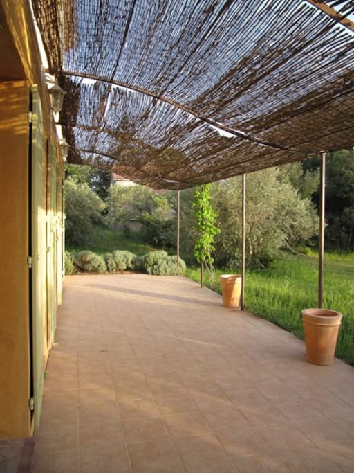 Terrasse