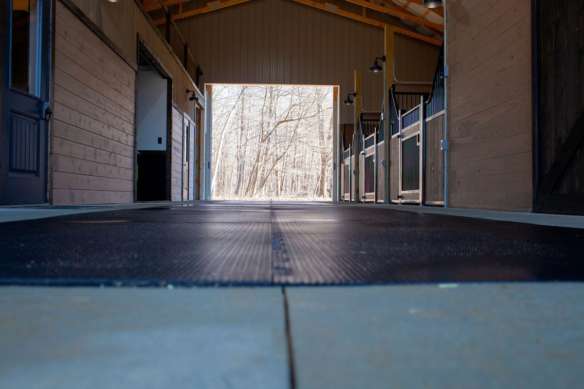 54x45x12 Raised Center Aisle Barn | 54x45 Step Down Barn, image size:1200x800