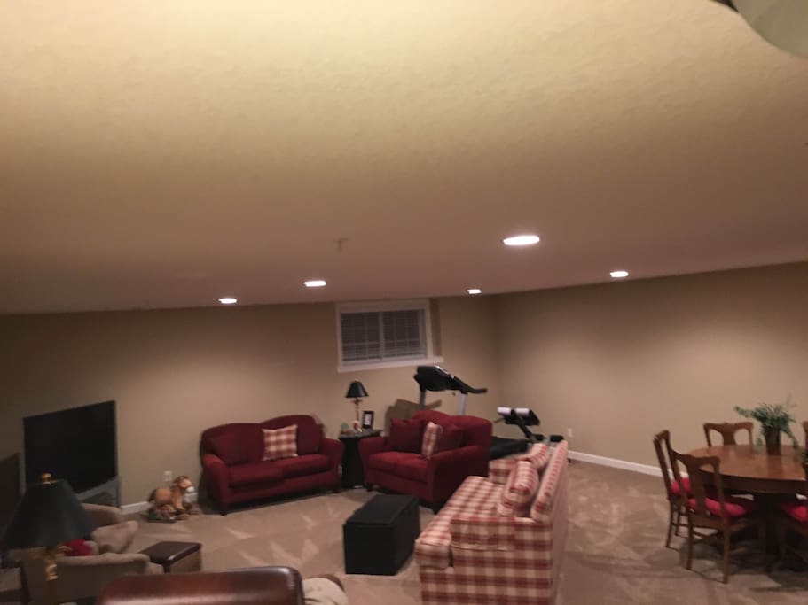 Basement living room