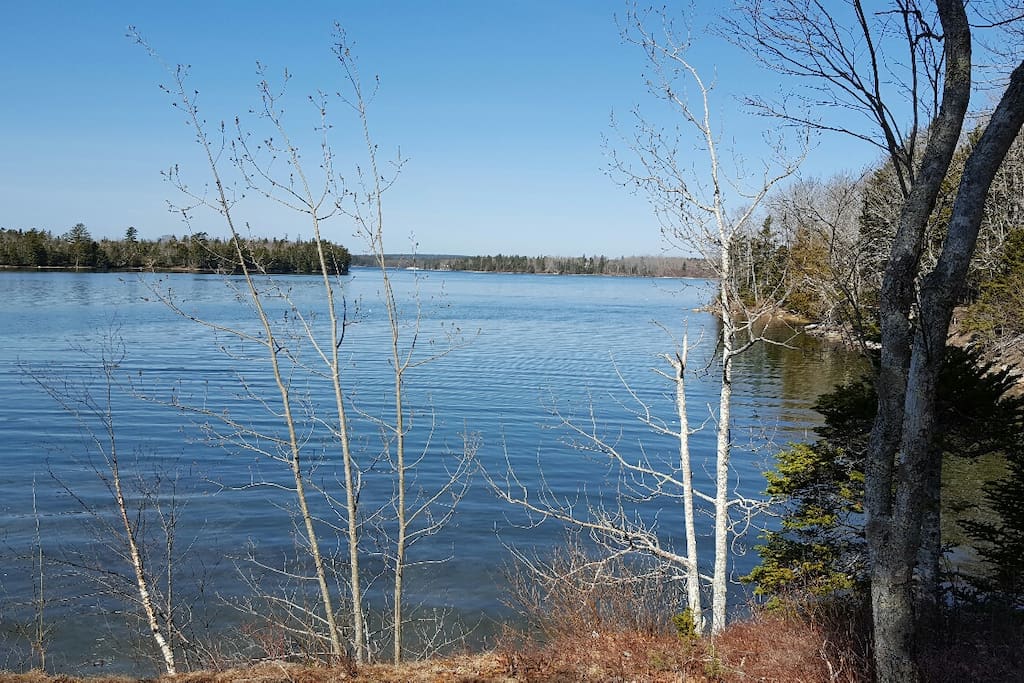Jones Cove opens into Frenchmans Bay