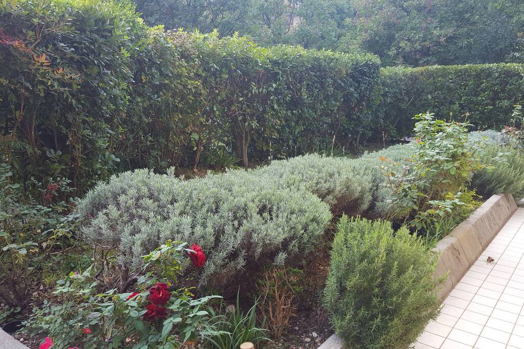 L'entrata indipendente con un stupendo giardino.
