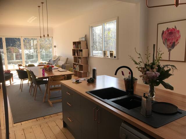 Edwardian renovated house gallery image 4