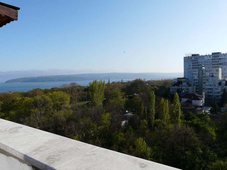 the view from the balcony