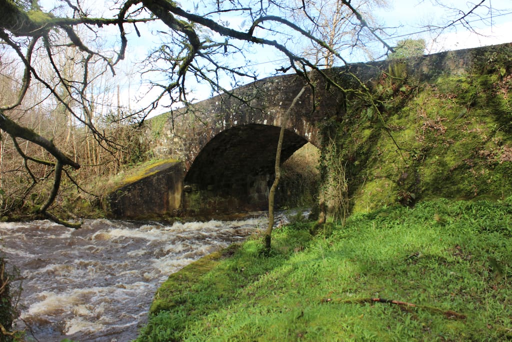 Claddagh Glen Waterfalls Walk and Marble Arch Caves just 30 min drive.