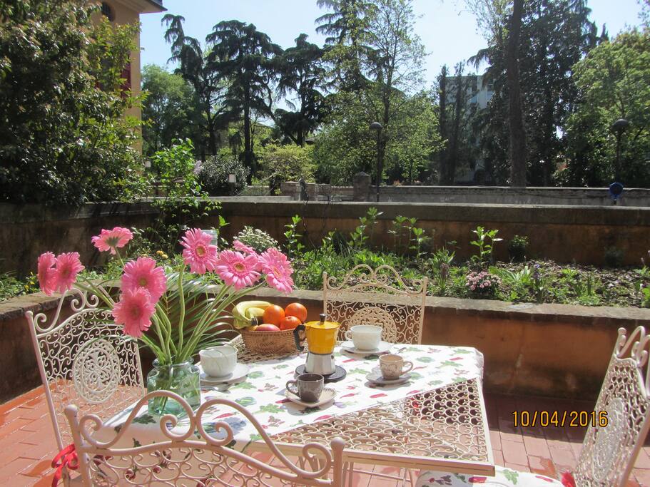 The garden