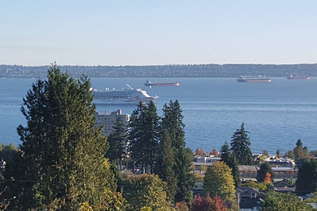 View from patio.