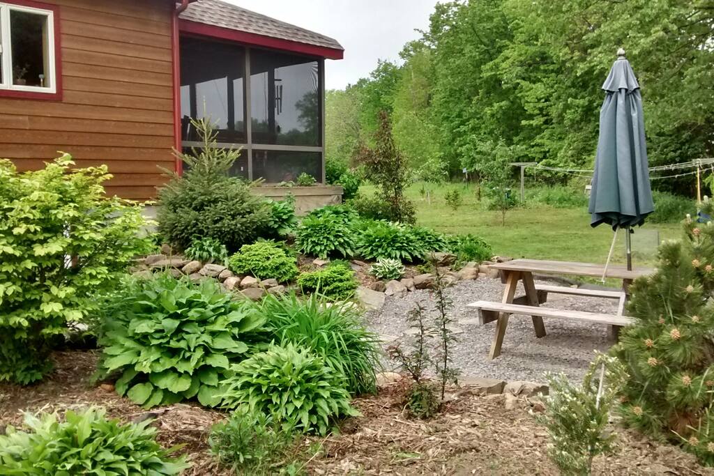 Front gardens/picnic table