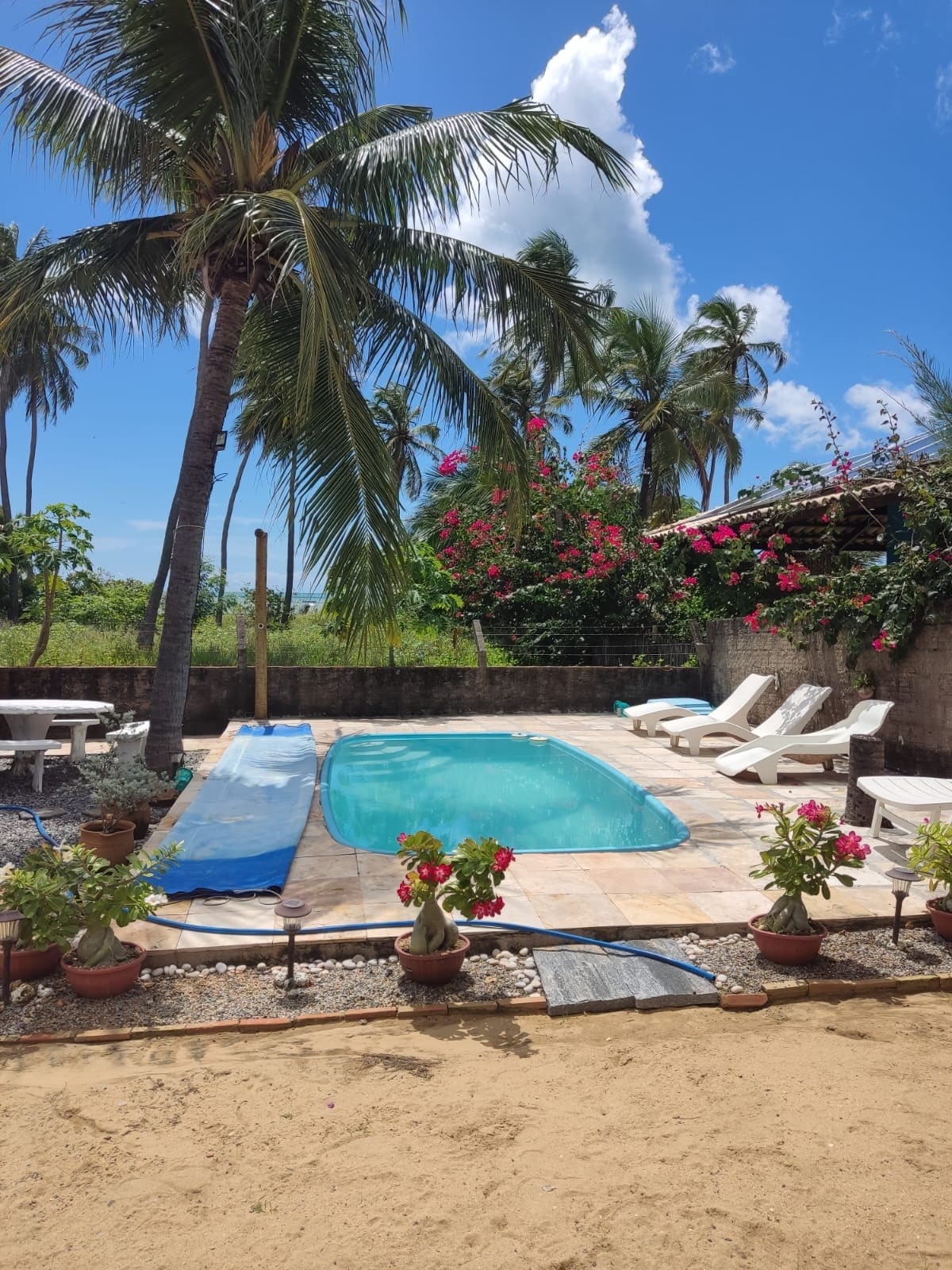 A serene outdoor space features a clear swimming pool surrounded by lush greenery and vibrant flowers. Sun loungers are positioned on a tiled deck, complemented by potted plants. The sky above is bright with fluffy clouds, promoting a relaxed atmosphere.