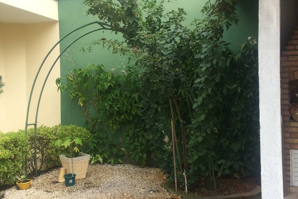 Uma parte do jardim da casa