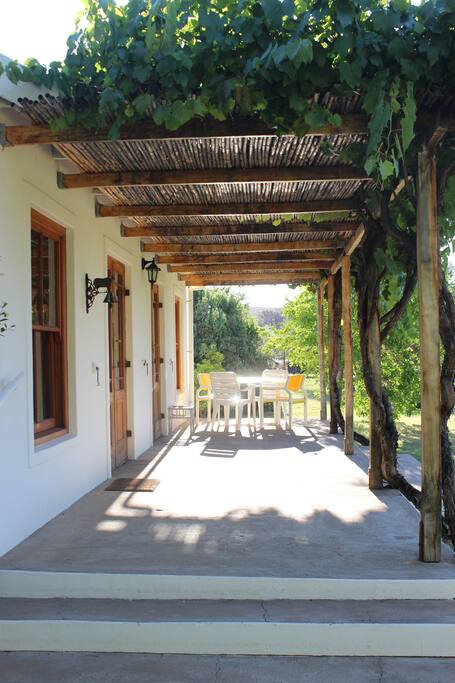 vine shaded verandah