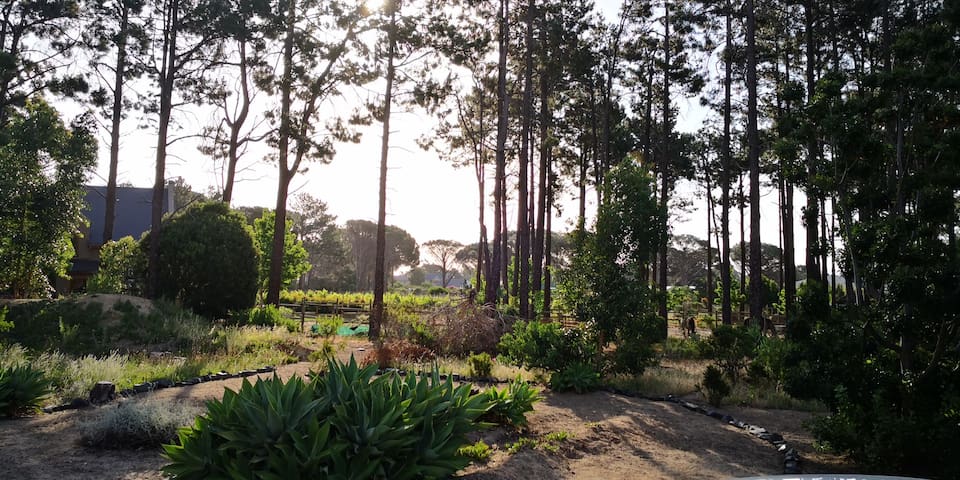 The Vans, High Riding Country Estate