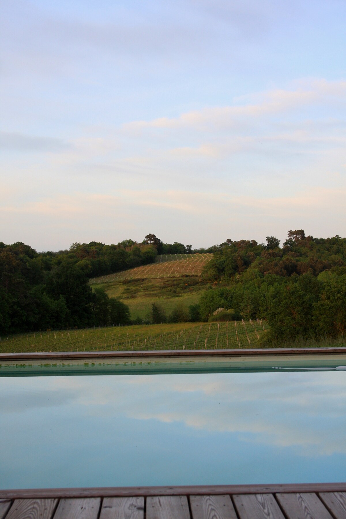 A serene view of rolling vineyards is captured in the background, dotted with lush greenery under a softly lit sky. In the foreground, a tranquil pool reflects the landscape, creating a harmonious connection between the water and the surrounding scenery.