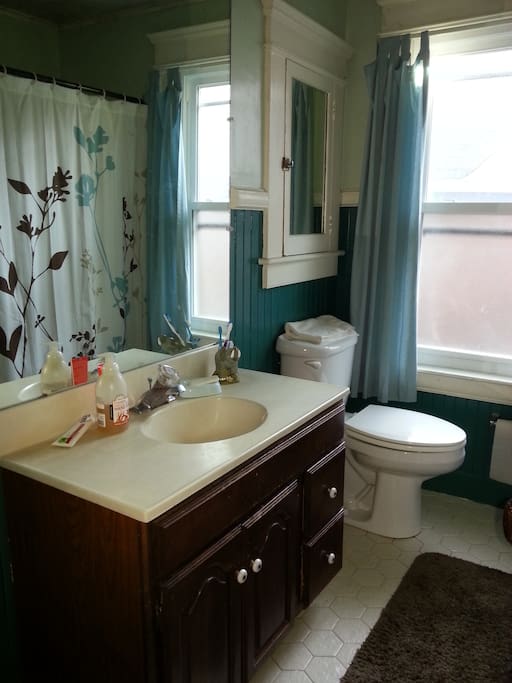 This bathroom has it all: a sink! a toilet! a tub! Who could ask for more?
