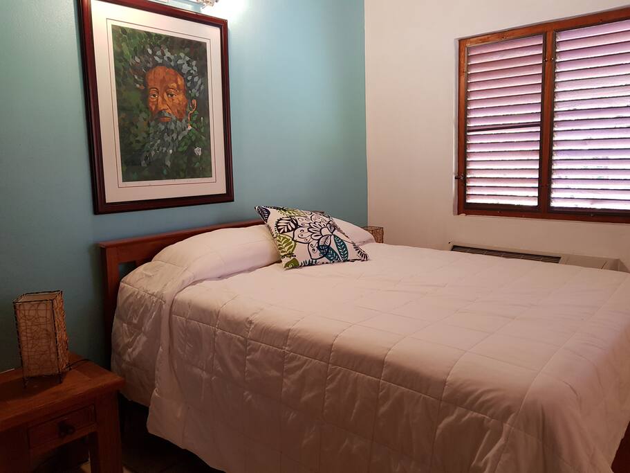 1st room with a queen size bed, fan ceiling, AC, and a closet.