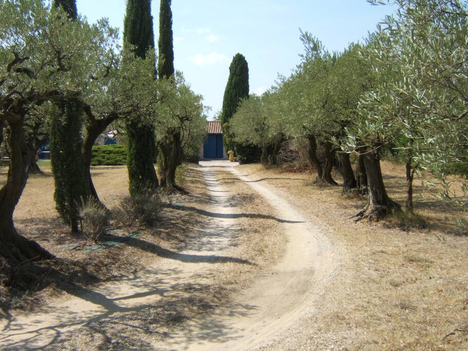 L'entrée