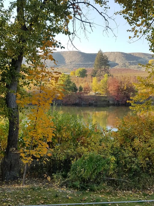 autumn on the river