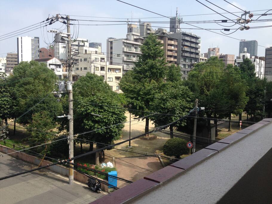 The land scape from this room
来自房间的景观